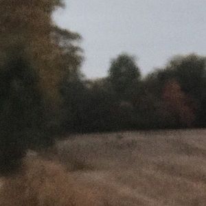 Meet your Posher, Chase